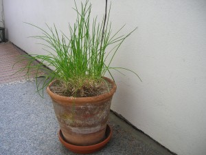 DSCN4801
